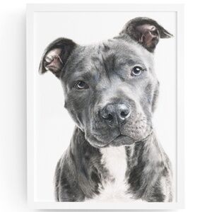 American Grey Pit Bull Terrier Watercolor Wall Art Print Poster - Unframed